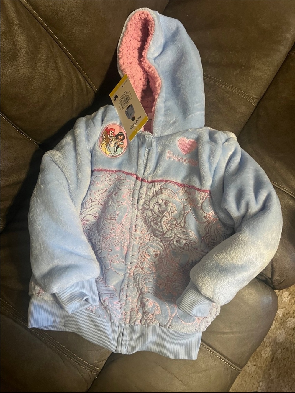 Disney Light Blue & Pink Princess Hooded Jacket